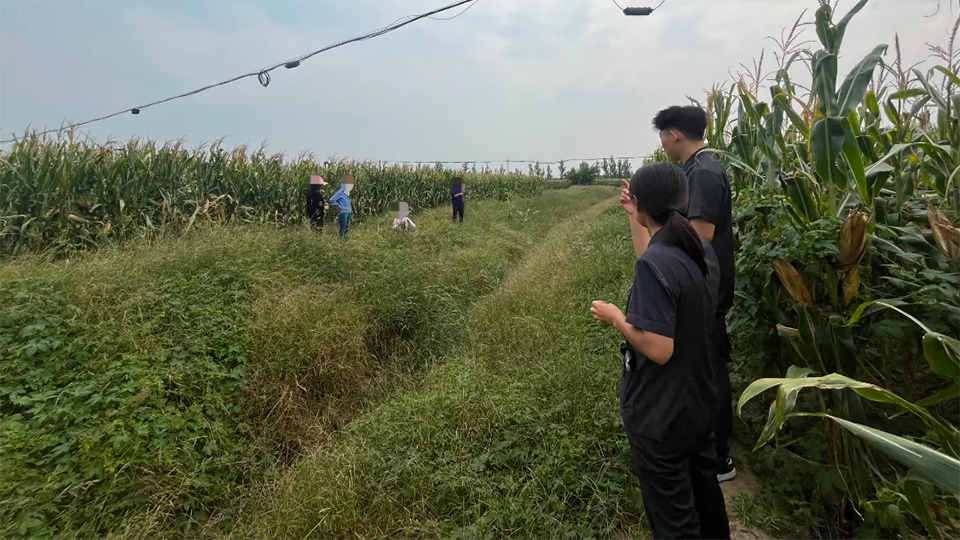 农村“荒沟”引纷争，法庭调解聚民情